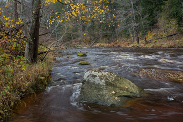 City Cesis, Latvia. Rapid river with stones and trees. Natural flora.Travel photo.