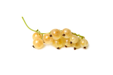 Some golden currants isolated on the white background