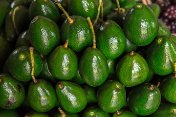 Avocado, Backgrounds, Brown, Close-up, Color Image