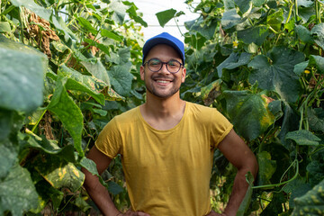 Young farmer posing in field of cucumbers in greenhouse