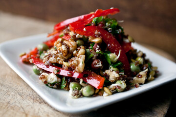 Close up of quinoa, lentil sprout and arugula salad served on plate