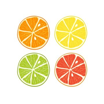 Citrus set. Slices of lime, orange, grapefruit, lemon. Bright colorfull isolated on white background. Candy sweet exotic slice juice. Vector illustration. Summer fruit icons. Fruit background.