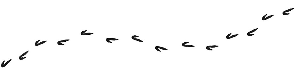 Bird footprints seamless pattern. Background with ostrich's tracks. - obrazy, fototapety, plakaty