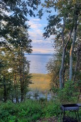 Вода и деревья