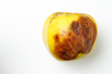 bad natural yellow apple on a white background