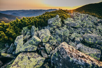 Obraz premium A rocky mountain with trees in the background