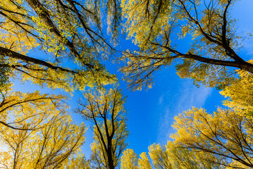 Herbstlandschaft