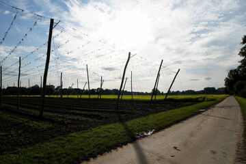 Obraz premium landscape with a fence