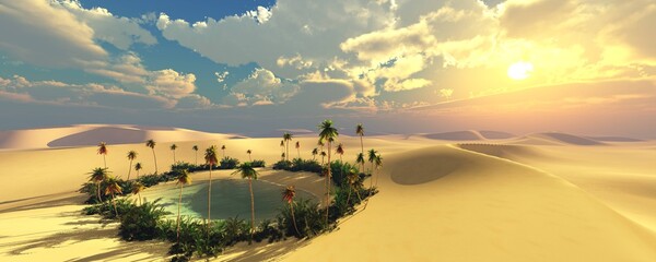 Fototapeta na wymiar Oasis in the desert of sand at sunset, Sunset in the desert, oasis with palm trees at sunset, palm trees in the sand near the reservoir,