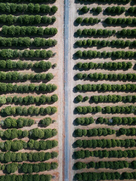 Farmland, Australia