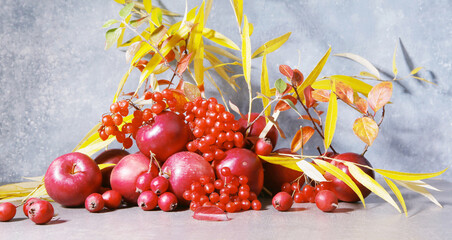 Still life of apples, viburnum and hawthorn berries against blue background. Composition of red autumn fruits and leaves.