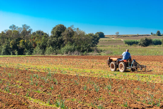 MOLLET DEL VALLES, SPAIN - Sep 14, 2020: Farmer working with tractor preparing land for fertilizer and sowing