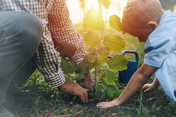 grandfather with his grandson in public park planting a tree