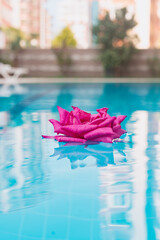 Fototapeta na wymiar Pink rose in the resort pool water. Enjoy summer vacation.
