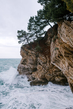 Sea coast during the storm
