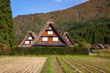 白川郷合掌造り集落
