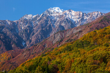 Fototapeta premium 新雪の五竜岳