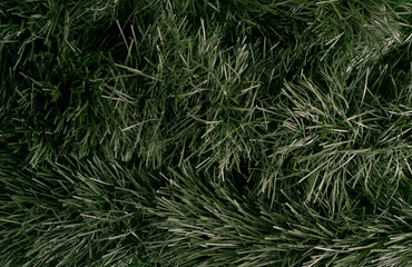 Christmas tree texture. Green background with branches.