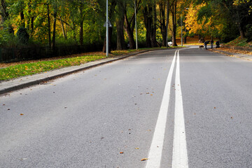 an empty road with a white marking strip and the forest around it on an autumn day