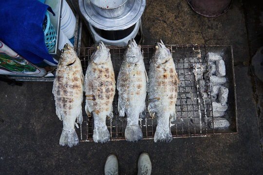Fresh fish on grill grid in street