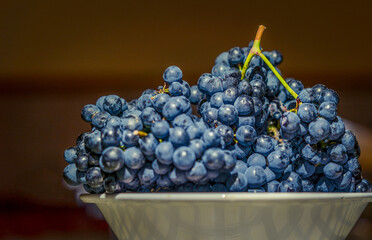 black grapes from the vineyards and fields of La Rioja Spain