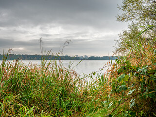 Tychy Poland lake view during autumn season