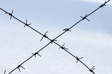 Old barbed wire on a background of snow. Barbed wire closeup. Shallow depth of field. Siberia,...