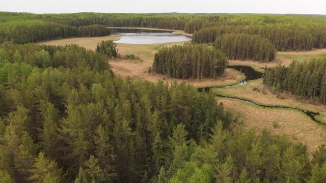 Drone moving forward over several ponds and a stream that are surrounded by a bright green forest.  A light wind is causing the leaves to futter and creates small waves.
