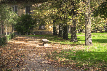 A bench in an autumnal scenery