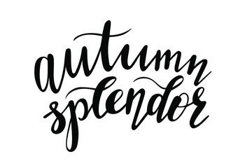Autumn Splendor hand lettering vector for fall and school season quotes and phrases for cards, banners, posters, pillow and clothes design. 