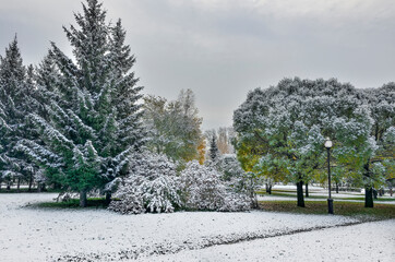 First snowfall in colorful autumn city park