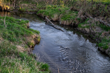 small river in the village