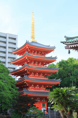 Fototapeta premium 東長寺 五重塔