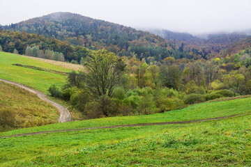 Bieszczady Mountains in Poland, beautiful autumn landscape