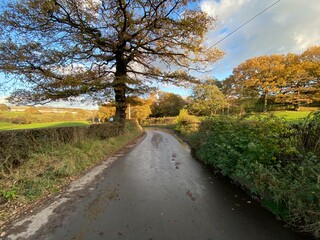 View along, Raikes Lane, with a wet road, and autumn leaves in, Tong, Bradford, UK
