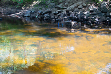 shopping cart and bike in river