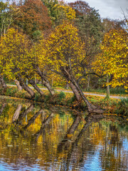 Herbst im Münsterland