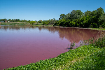 pink small lake