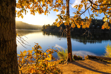 Fototapeta na wymiar a stunning autumn landscape with trees reflecting off vast still blue lake waters with majestic mountain ranges at sunset at Lake Gregory in Crestline California USA