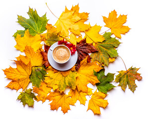 White cup with coffee on a saucer with chrysanthemum on a background of autumn leaves. isolate on...