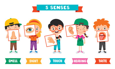 Five Senses Concept With Human Organs