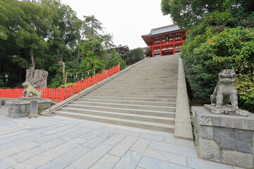 鶴岡八幡宮　本宮大石段　狛犬