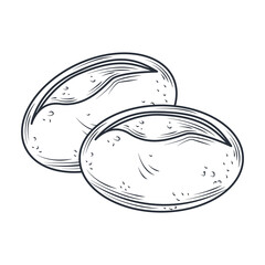 baked bread buns icon sketch isolated on white