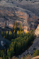 Las Hoces del Río Duratón Natural Park, Segovia province, Spain