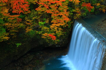 紅葉の八幡平