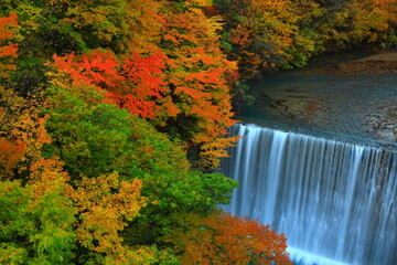 紅葉の八幡平