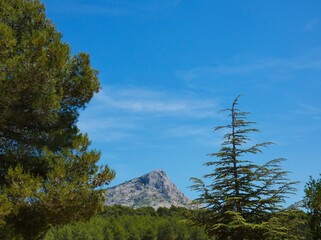 Fototapeta premium Magnificent landscape with the Sainte-Victoire mountain under a beautiful blue sky in Provence near Aix en Provence