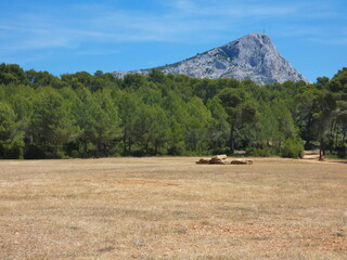 Magnificent landscape in Provence near Aix en Provence under a blue sky with this open field, the...