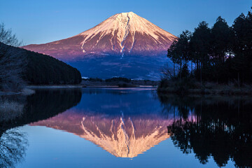 田貫湖からの逆さ富士