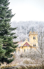 Yellow abandoned castle among snow-covered trees near a bright green fir-tree